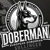 SULLY EUROPEAN DOBERMAN's