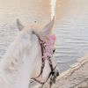 noor57514