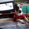 jackelinerey286