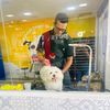 Peluquería Canina