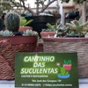 cantinho.das.suculentas