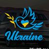 marina_s16.08