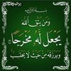 gehan.nasr16