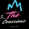 theconsciousreset