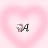 chinchila_fofo