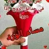 majid2340