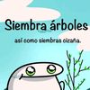 laosayloscachorros