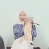 bocilkitten
