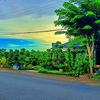bakolkembang98