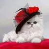 hongsonlchp