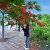 hongkim281