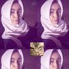 picaya_anci