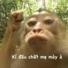 hoivui2
