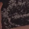 kv_f2
