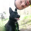 inhib.ru