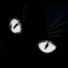 crycatto