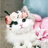 maryouma5739