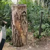 wildflwer21
