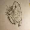 dyg7hqori844