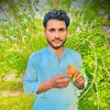 qurban2412