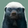 thichansushi_6