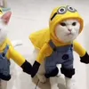 floorrjk
