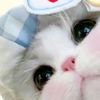 princesnis4
