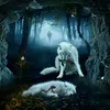 sabr_bardosh