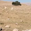 karzan.anwar0
