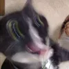 .fritzzzzzz
