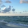 ivyocean26