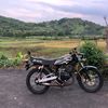ieuwibowo