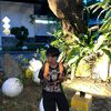 koshim444
