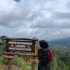 dimsumentaiu