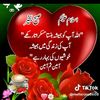ramzanjni28