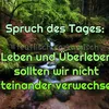 toteralteriltis