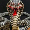 vipera_dracoasa