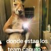 alexisrupay21