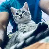 sajads221
