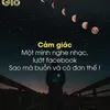 commentdao0207