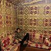 .omarnasr66