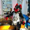 rockcandywolf