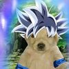armando_estebanquito3