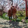 farifayu