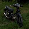awner.revo