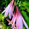utloan_77