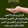 user8542804565947