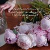 saraall762