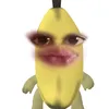 its.cristene