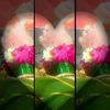 imisyoumaage51